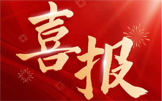 集团荣膺2025中国民营企业500强第249位，制造业民营企业500强第177位，排名较去年双双大幅提升